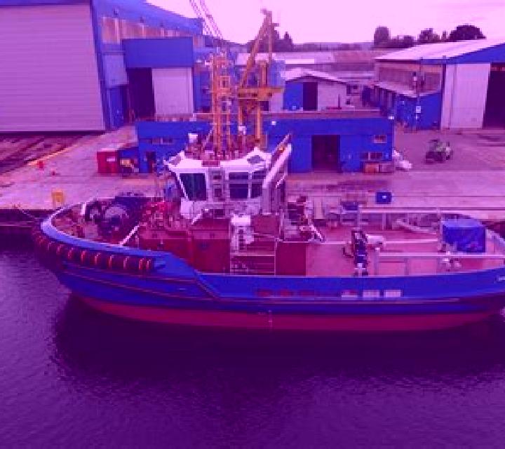 Aurora 3 Collipulli escort