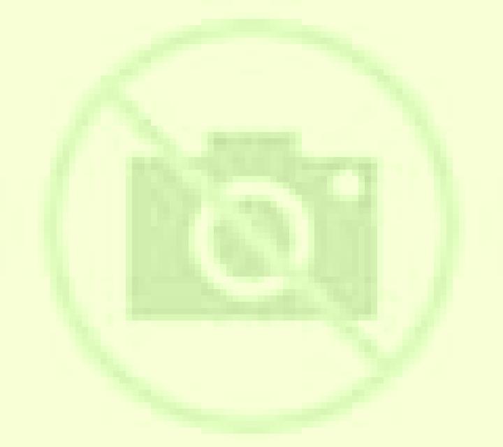 Camila 2 Puente Alto escort
