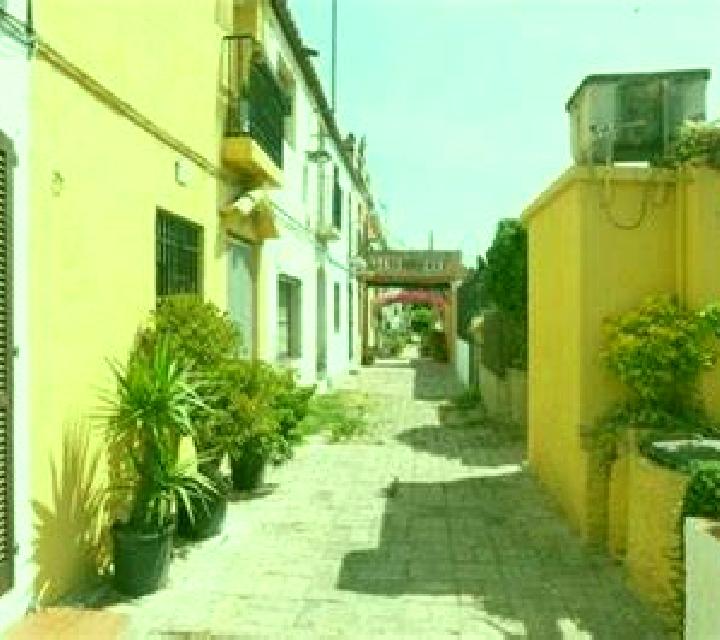 Carmen 2 Palmilla escort