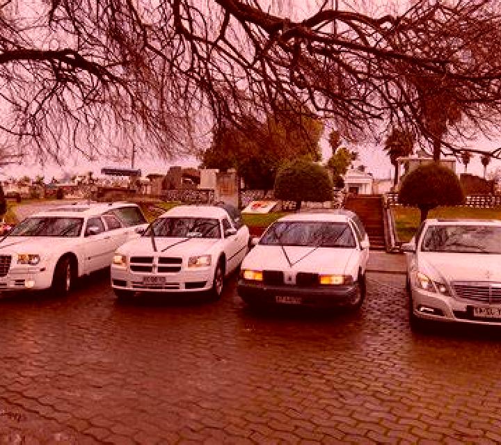 Catalina 2 Villa Alhue escort