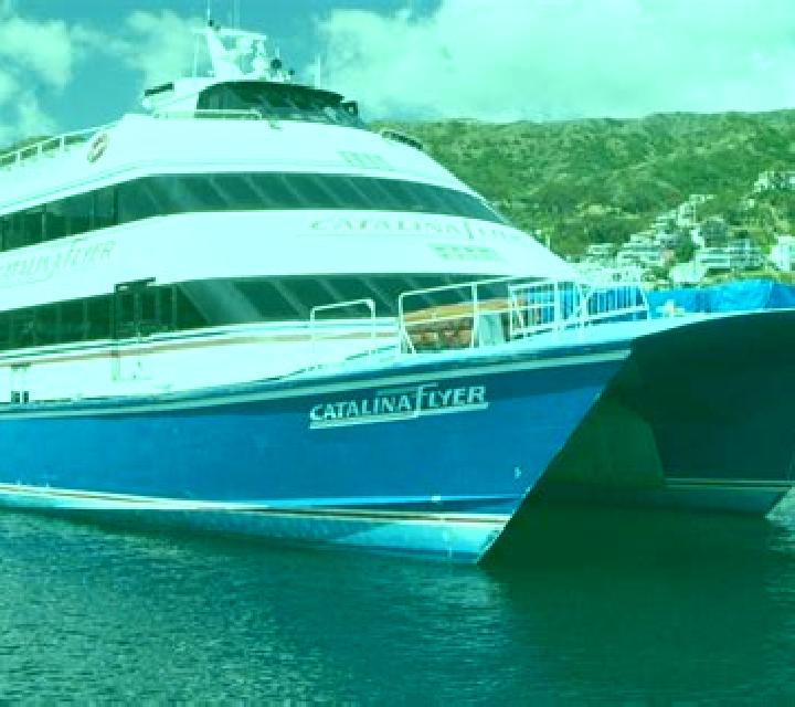 Catalina Angol escort