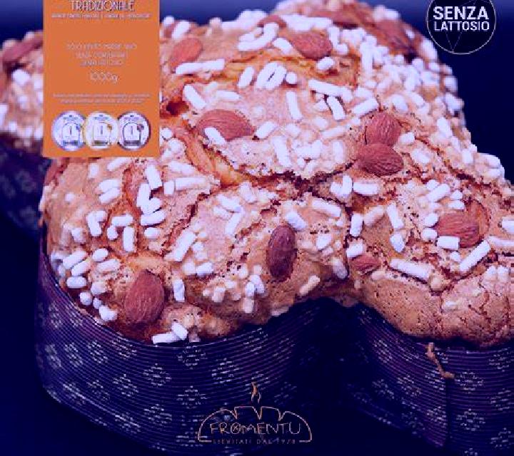 Colomba Canela escort