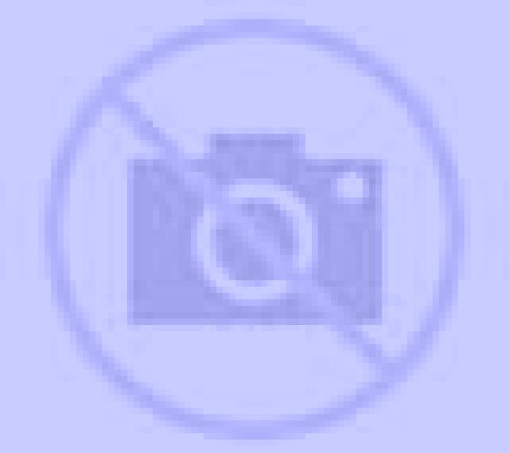Cony 3 San Ignacio escort