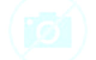 Diana 2 Quillota escort