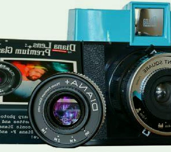 Diana 3 Requinoa escort