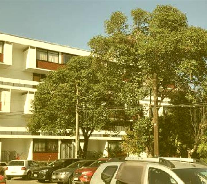 Diana 3 Villa Presidente Frei escort