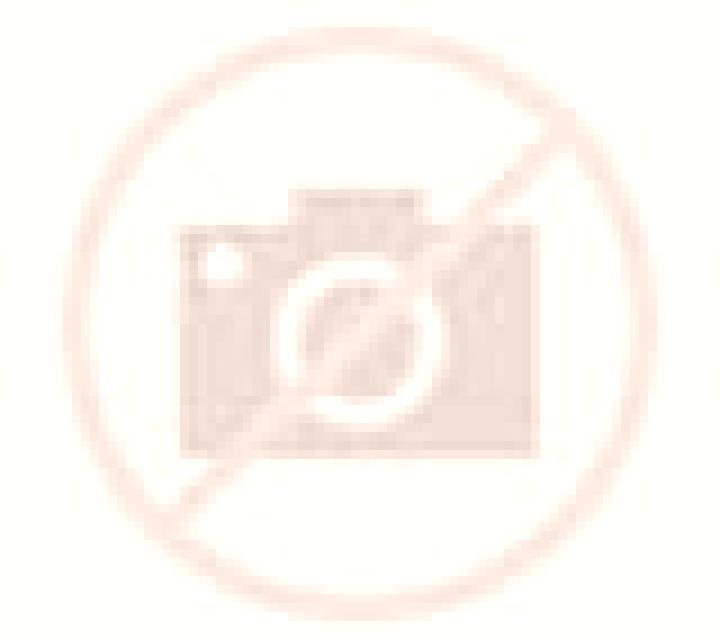 Fernanda La Ensenada escort