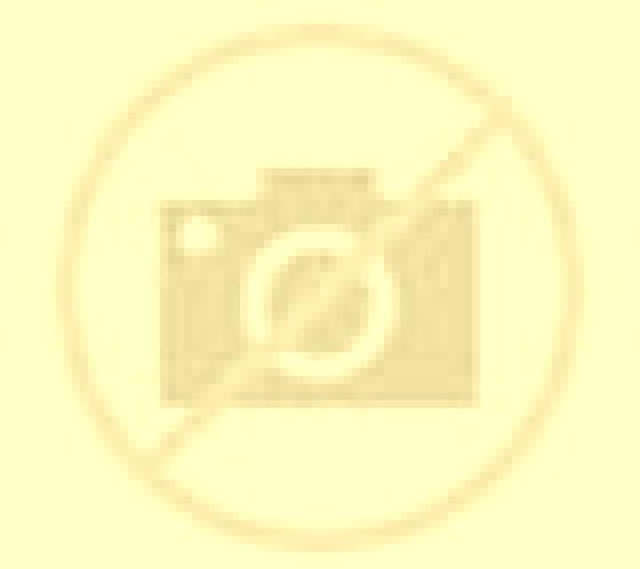 Fernanda Villa Alegre escort