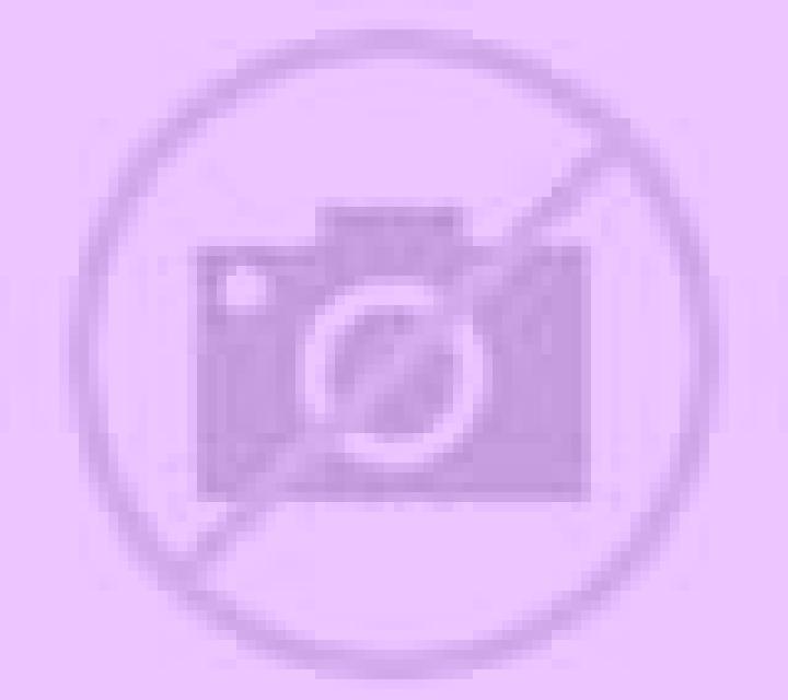 Giulia Rancagua escort