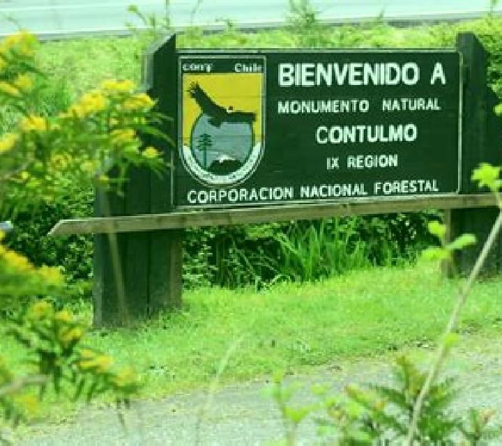 Isidora Contulmo escort