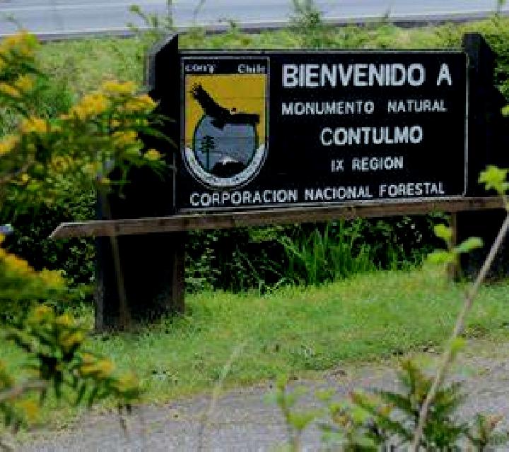 Josefa 2 Contulmo escort