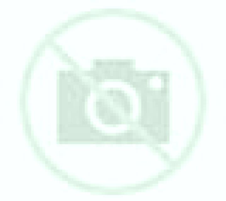 Katia 3 Camarones escort