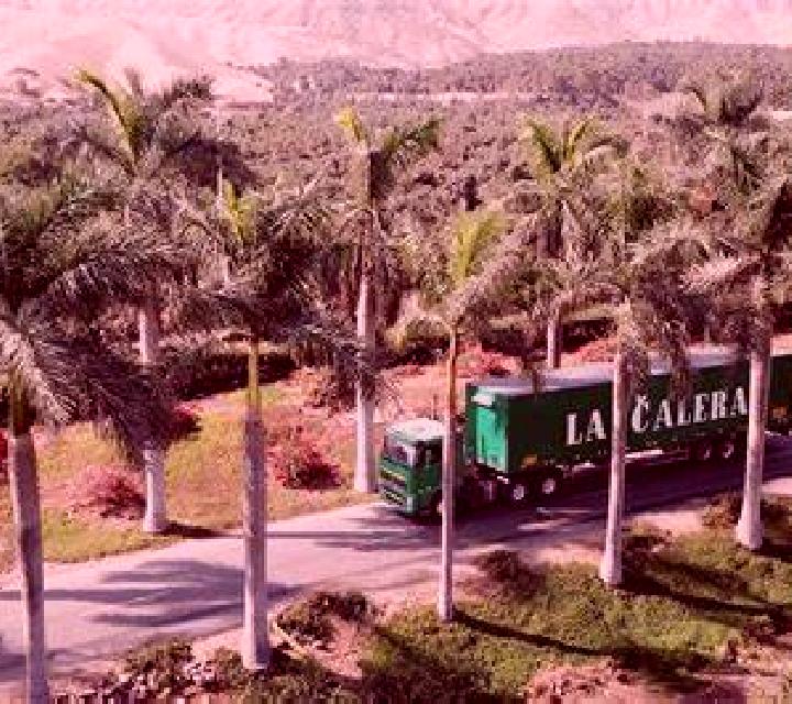 Lola Hacienda La Calera escort