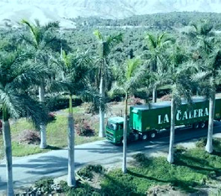 Manuela 2 Hacienda La Calera escort
