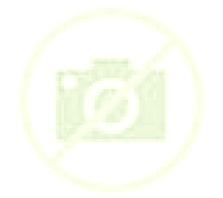 Nadia Tome escort