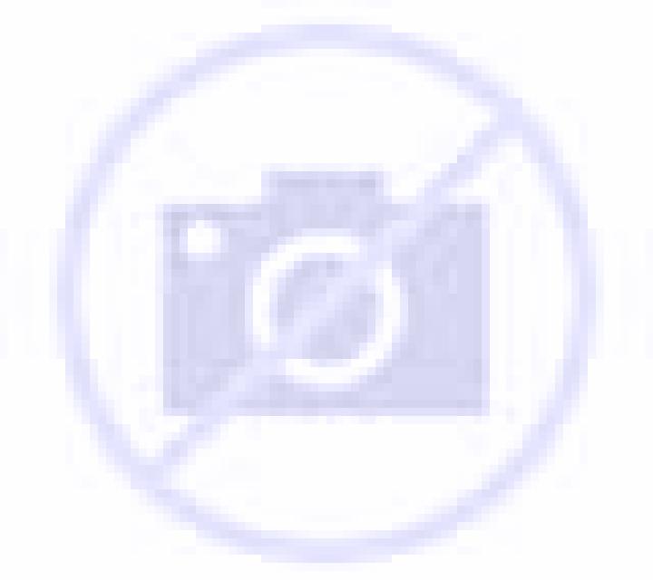 Paulina Coya escort