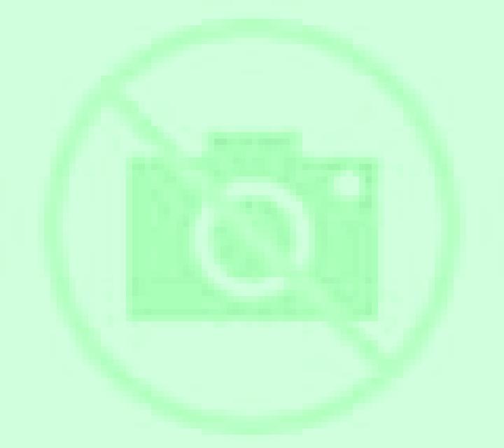 Rayén 2 Copiapo escort