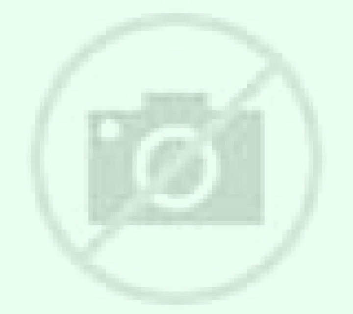 Regina 3 San Francisco de Mostazal escort