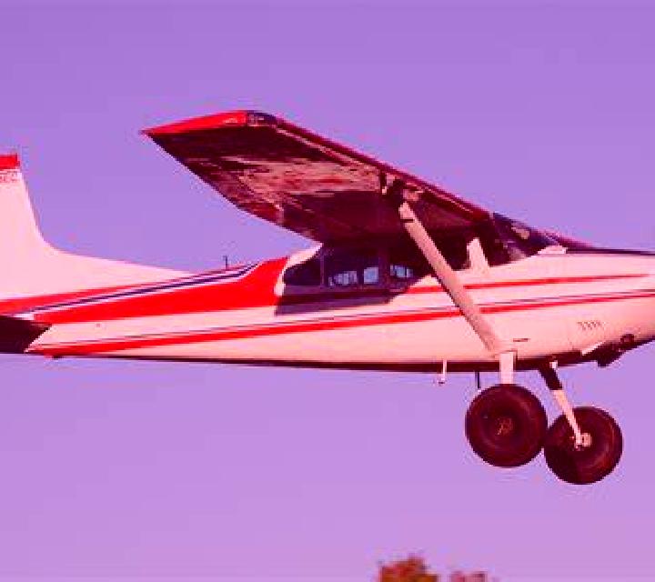 Trinidad 2 Maule escort