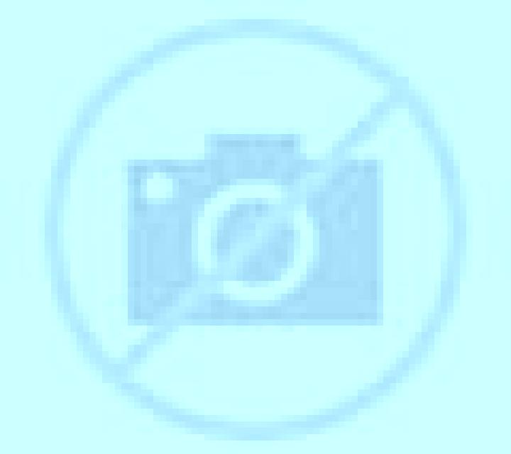 Trinidad Padre Las Casas escort
