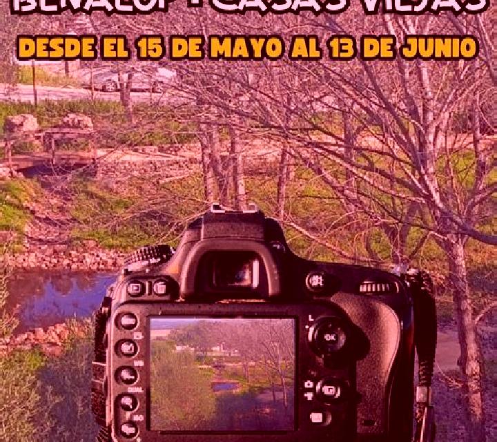 Ximena 3 Hualqui escort
